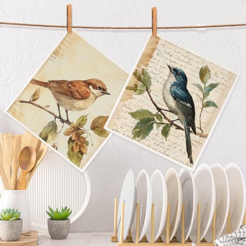 2 Pcs Vintage Bird Artistic Prints Swedish Dishcloths for Kitchen, Absorbent Reusable Paper Towels, Retro Geometry Kitchen Towels for Bathroom Home, Gifts for Bird Lovers Women Mom Men 6 - color: Sz 0782