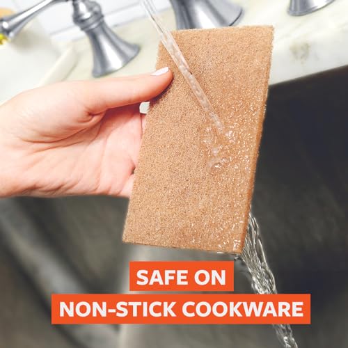 Full Circle Neat Nut, Walnut Scour Pads – Pack of 8 – Powerful, Non-Scratch Dish Scrubber Made with Plant-Based & Recycled Materials, Safe for Nonstick - size: Walnut Scour 8pk