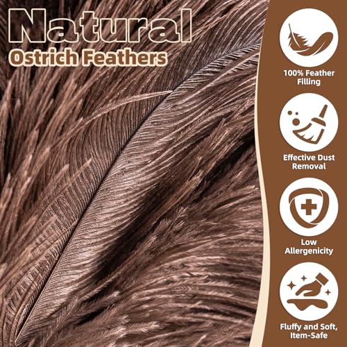2 Pack Ostrich Feather Dusters with Wooden Handle, 13.5 inch Natural Fluffy Feather Dusters for Dusting Home, Car, Delicate Surfaces, Reusable Soft Cleaning Tools for Ledges, Blinds - color: 13.5in-brown