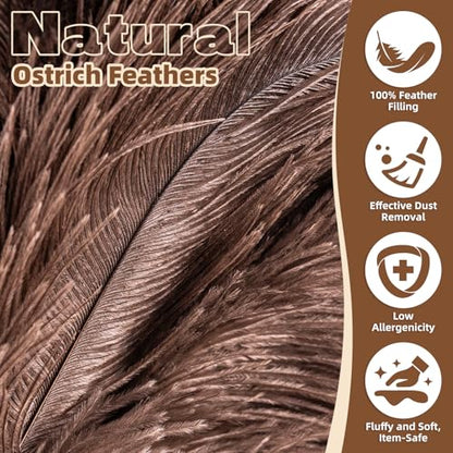 2 Pack Ostrich Feather Dusters with Wooden Handle, 13.5 inch Natural Fluffy Feather Dusters for Dusting Home, Car, Delicate Surfaces, Reusable Soft Cleaning Tools for Ledges, Blinds - color: 13.5in-brown