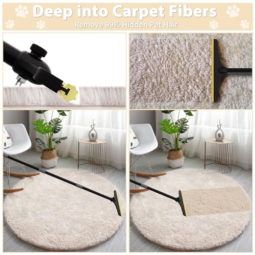 B-Land Carpet Rake for Pet Hair Removal, Reusable Pet Hair Remover with 60” Adjustable Long Handle, Carpet Scraper Dog Cat Hair Remover Tool for Rugs, Mats, Couch, Furniture-Black Pole - color: Black&grey
