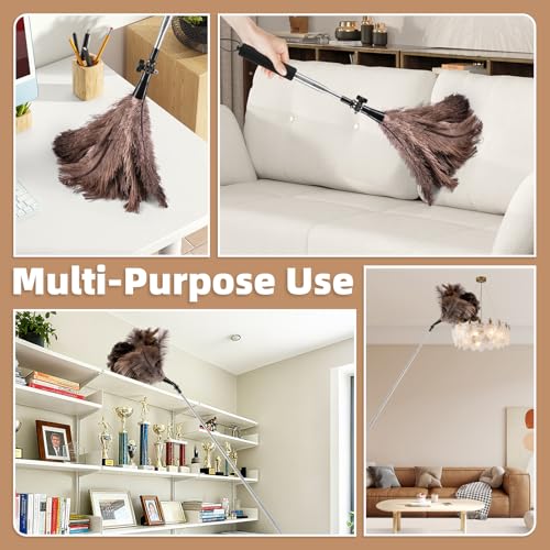 Extendable Ostrich Feather Duster with 19-49 inch Rotatable Stainless Steel Pole, Natural Feather Duster for Ceiling Fan Cobweb Dusting, Reusable Flexible Cleaning Duster(Include 1 Replacement Heads) - color: 49in-brown