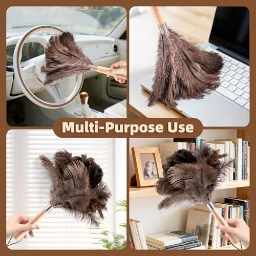 2 Pack Ostrich Feather Dusters with Wooden Handle, 13.5 inch Natural Fluffy Feather Dusters for Dusting Home, Car, Delicate Surfaces, Reusable Soft Cleaning Tools for Ledges, Blinds - color: 13.5in-brown