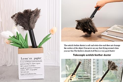 Retractable Ostrich Feather Duster for Cleaning, Fluffy and Natural Feather Duster with Retractable Handle， Reusable Eco-Friendly Handheld Cleaning Supplies (15 inch) - color: Model-15”-brown-1 Pieces