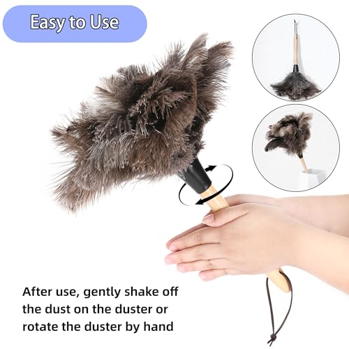 Soarer Ostrich Feather Duster - 14 inches Fluffy Handle Reusable Feather Duster 2pcs Cleaning Brush for Cleaning Supplies,Ceiling Fan, Crafts, Blinds, Furniture - color: 14inch Kit