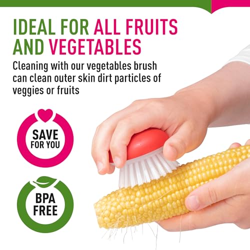 Vegetable Brush Scrubber for Food – 2Pcs Set Fruit and Veggie Brush – Silicone Top and Ultra-Strong Bristles Potato Scrubber – Palm Held Ergonomic Design – Easy to Clean – Red and Green