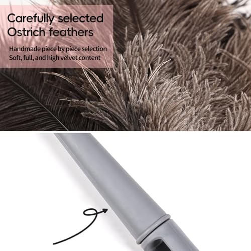 Feather Duster-Genuine Ostrich Feathers,Anti-Static,Reusable Eco-Friendly Handheld Cleaning for Keyboard,Home,Car,Office(17Inch,2Pack) - color: Natural-17in-styled-2pcs