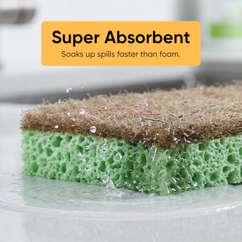 Superio Non-Scratch Cellulose Sponge Scrub (12-Pack) Heavy Duty Kitchen Sponges Scrubbers with Scouring Pad (Green) - color: Natural, size: 12-pack