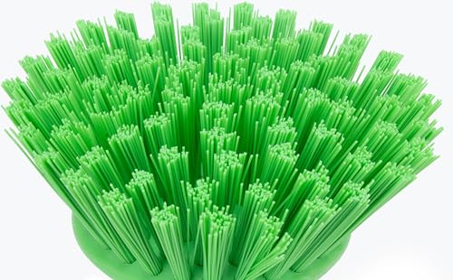 SPARTA 42395EC75 Plastic Scrubber Brush, Round Brush, Dish Scrub Brush With Color Coded For Cleaning, Kitchen, Bathroom, Bathtub, Dishes, Sink, 5 X 5 X 4 Inches, Lime