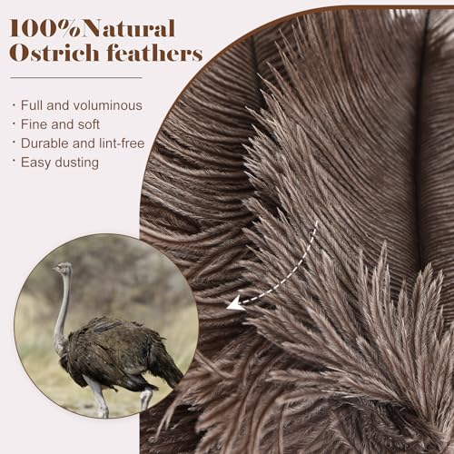 Natural Ostrich Feather Duster 14.9 inch Fluffy Mini Dusters with Plastic Handheld for Cleaning Car Keyboard Office 1 Pcs - color: Natural-a-1pcs