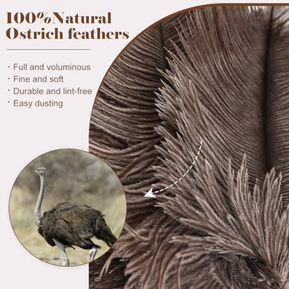 Natural Ostrich Feather Duster 14.9 inch Fluffy Mini Dusters with Plastic Handheld for Cleaning Car Keyboard Office 2 PCS - color: Natural-a-2pcs
