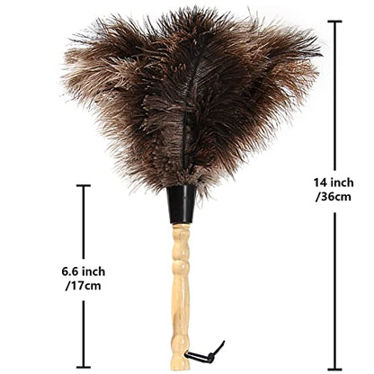 Ostrich Feather Duster 14 inch Fluffy Natural Genuine Ostrich Feathers with Wooden Handle and Eco-Friendly Reusable Handheld Ostrich Feather Duster for Cleaning Supplies(5PCS) - color: Model-14“-brown-5 Pieces