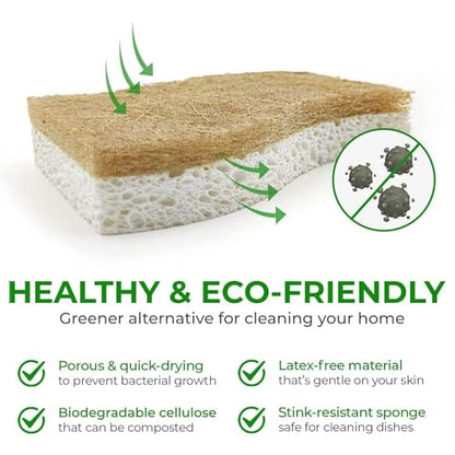 AIRNEX Natural Kitchen Sponges (24 Pack) - Biodegradable Cellulose & Coconut Scrubber Dish Sponges for Kitchen - Eco-Friendly, Non Scratch, Compostable, Non Toxic S-Shaped Natural Sponges for Dishes - size: 24