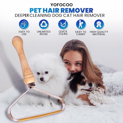 2-Pack Pet Hair Removal Tool - Lint Remover, Carpet Scraper & Shaver for Clothes and Carpets - Dog & Cat Hair Remover with Carpet Rake for Car,Rugs,Couch,Furniture - Fur Cleaner Tool