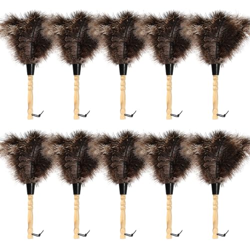 Ostrich Feather Duster 14 inch Fluffy Natural Genuine Ostrich Feathers with Wooden Handle and Eco-Friendly Reusable Handheld Ostrich Feather Duster for Cleaning Supplies(10PCS) - color: Model-14“-brown-10 Pieces