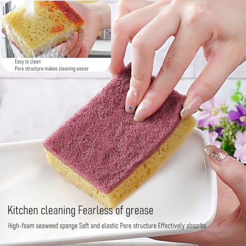 Non-Scratch Household Cleaning Sponges- Scrubbing Dish Sponge Ideal for Washing Kitchen,Dishes, Bathroom &More - 3 Kitchen Cleaning Sponges