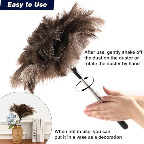 Soarer Extendable Ostrich Feather Duster - 40 inches Fluffy Long Handle Reusable Feather Duster for Cleaning Ceiling Fan,Pendant lamp, High Ceiling, Blinds, Furniture - color: 40inch Single