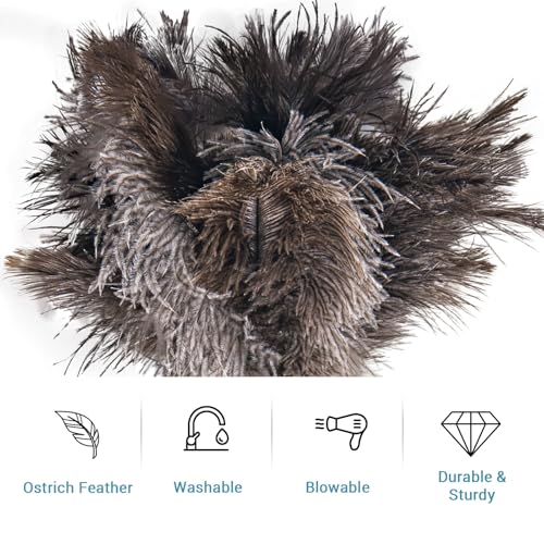 Feather Duster Extendable 22–47 Inch, Natural Ostrich Feather Duster with Long Handle for High Ceilings, Ceiling Fans, Walls，Furniture(Brown) - color: Brown