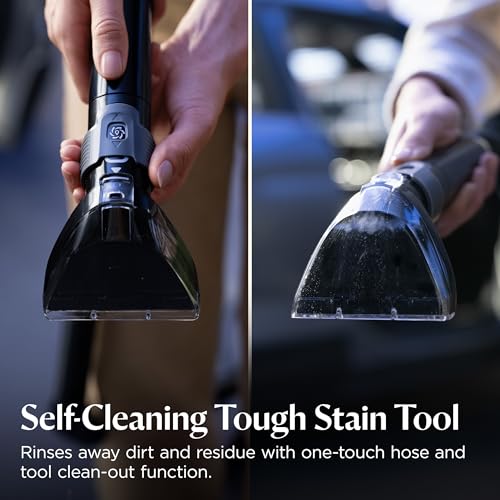 BISSELL Little Green Auto Pro, Professional-Grade Auto Tools and Cleaning Formula Included, 3909L - style: Little Green Auto Pro