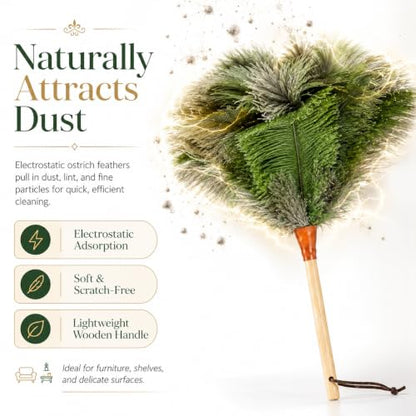 16inch Natural Good Ostrich Feather Duster with Bamboo Handle, Electrostatic Dust Remove for Ceiling，Fans，Bookshelves, Sofa, Windows, Fit for Home, Office and Cars Duster Green - color: Green