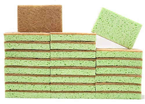 SCRUBIT 48 Pack Natural Sponges - Biodegradable Compostable Cellulose and Coconut Natural Sponges for Dishes, Eco Friendly Non Toxic Kitchen Sponge - size: 24 Count (Pack of 2)