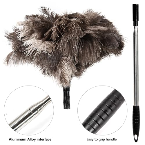 Extendable Ostrich Feather Duster 26"-79", Real Fluffy Ostrich Feather Duster, Telescoping Handle for High Ceiling Cleaning, Fan Dust Removing, Furniture, Car Cleaning – Standard Threaded Interface