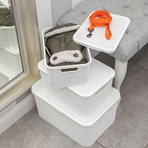 BranQ Home essential Basket with Lid in Rattan Design, Set of 2, Size M, 10 L, BPA-Free Plastic PP, White, 32.3 x 22.5 x 15 cm, Pack of 2 - color: White, size: 10 l