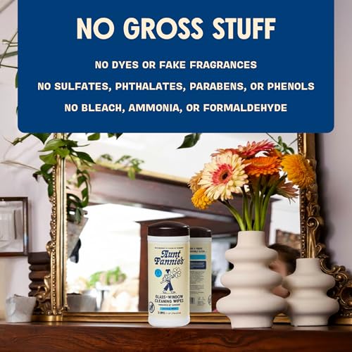 Aunt Fannie's Glass & Window Cleaning Wipes, Natural Streak-Free Glass Cleaner, 35 Count (Pack of 1)
