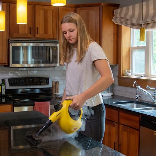 Wagner 2460111 505e Handheld Steam Cleaner, Multi-purpose Steamer, 11 Attachments, Chemical-Free Cleaning, Pet and Kid Safe