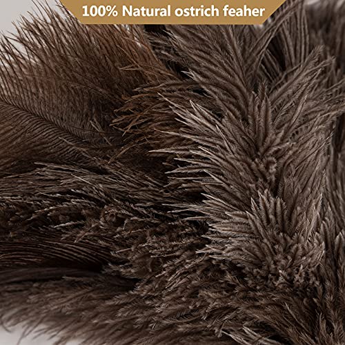 Aldwin Ostrich Feather Duster, 16 inch Ostrich Feather Duster with Wood Handle Reusable, Fluffy Natural Genuine Handheld Feather Duster for Cleaning Supplies, Home, Car, Office - color: Gray