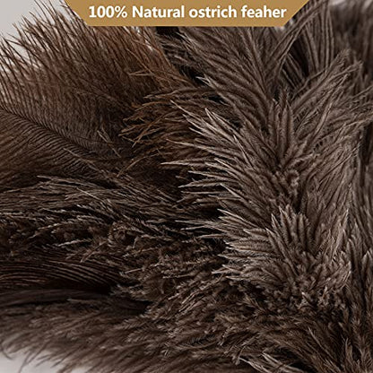 Aldwin Ostrich Feather Duster, 16 inch Ostrich Feather Duster with Wood Handle Reusable, Fluffy Natural Genuine Handheld Feather Duster for Cleaning Supplies, Home, Car, Office - color: Gray