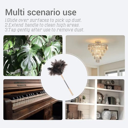 Extendable Ostrich Feather Duster, Natural Ostrich Feathers Long Handle Duster for Cleaning, 47” Soft & Fluffy Feather Duster for High Ceilings, Fans, Walls, Furniture, Home Dusting - color: Ivory B1