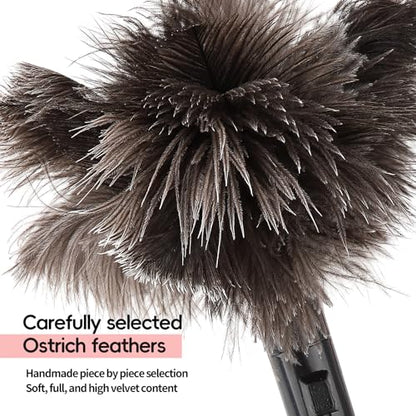 Retractable Feather Duster-Genuine Ostrich Feathers,Anti-Static,Reusable Eco-Friendly Handheld Cleaning for Keyboard,Home,Car,Office(10 to 15 Inches) 1 Pack - color: Natural-15in-stylea-1pcs