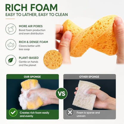 Kitchen Sponges, 20 Count, Plant-Based Cellulose + PET Scrub Sponge Set, Scratch & Non- Scratch Dish Sponges, Assorted Cleaning Sponges