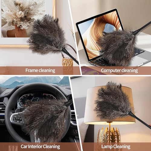 Ostrich Feather Duster-14.9 Inch Mini Natural Feathers Dusters with Plastic Handle Reusable Handheld for Cleaning Supplies Home Car Office(2pcs) - color: Natural-14.9in-styleb-2pcs