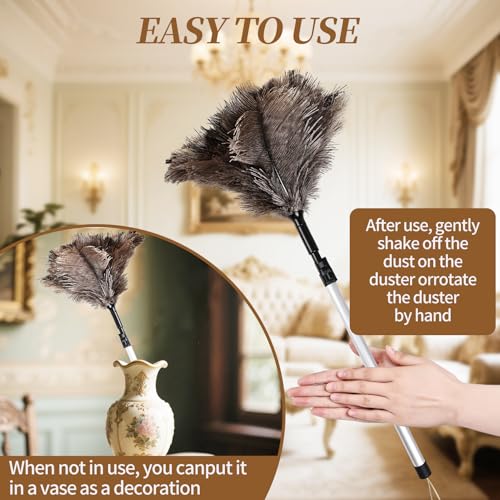 Extendable Ostrich Feather Duster up to 25-49 inches Fluffy Feathers Long Handle Reusable for Cleaning Ceiling Fan Pendant lamp Feather Duster 1pcs - color: Natural-b-1pcs