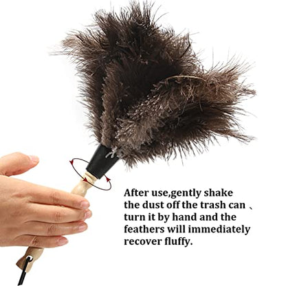 Ostrich Feather Duster 14 inch Feather Duster Fluffy Natural Genuine Ostrich Feathers with Wooden Handle and Eco-Friendly Reusable Handheld Ostrich Feather Duster for Cleaning Supplies - color: Model-14“-brown-2 Pieces