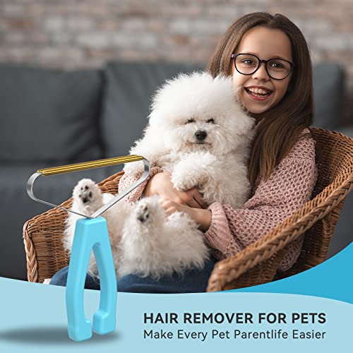 Carpet Rake, Lint Remover, Pet Hair Remover for Dog Cat Fur & Carpets | Portable Lint Brush Shaver, Pet Hair Removal Tool, Works on Car Mat Couch Pet Bed Furniture Rug, Removes Fur Effectively - color: Sky Blue
