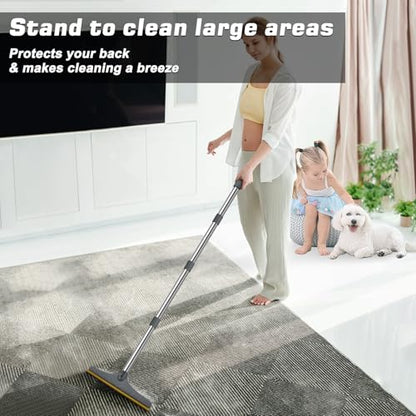 B-Land Carpet Rake for Pet Hair Removal, Reusable Pet Hair Remover with 60” Adjustable Long Handle, Carpet Scraper Dog Cat Hair Remover Tool for Rugs, Mats, Couch, Furniture (Grey) - color: Gray