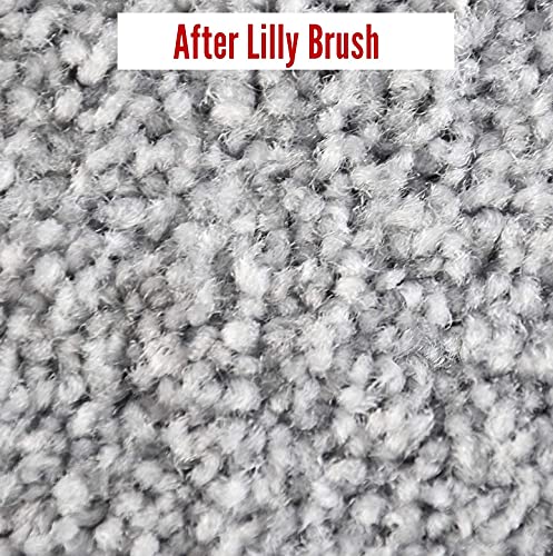 Lilly Brush Pet Hair Clean-Up Mighty Blade