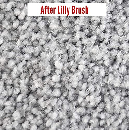 Lilly Brush Pet Hair Clean-Up Mighty Blade