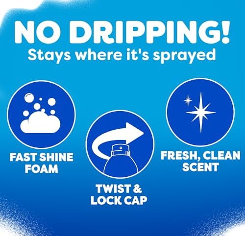 Windex Fast Shine Foam Glass Cleaner, No-Drip Windows, Doors, Mirrors & Countertops Aerosol Cleaning Spray, Streak-Free Shine, Removes Fingerprints, Dust, Dirt, Grime & More 19 oz (Pack of 1) - size: 19 Fl Oz (Pack of 1)