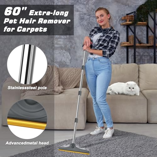 B-Land Carpet Rake for Pet Hair Removal, Reusable Pet Hair Remover with 60” Adjustable Long Handle, Carpet Scraper Dog Cat Hair Remover Tool for Rugs, Mats, Couch, Furniture (Grey) - color: Gray