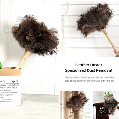 Ostrich Feather Duster 16 inch Feather Duster Fluffy Natural Genuine Ostrich Feathers with Wooden Handle and Eco-Friendly Reusable Handheld Ostrich Feather Duster for Cleaning Supplies - color: Model-a-brown-2 Pieces