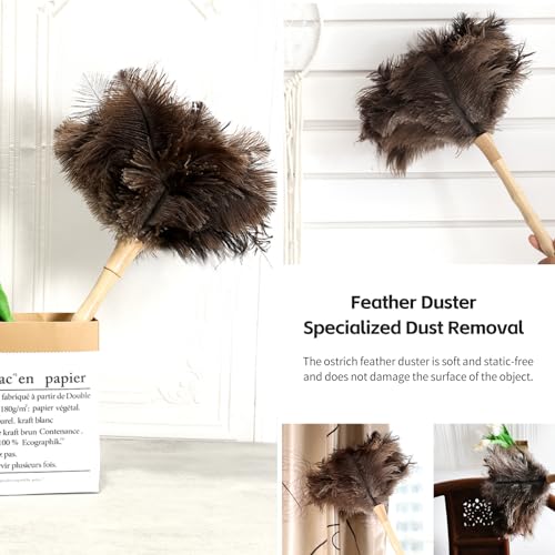 Ostrich Feather Duster 16 inch Fluffy Natural Genuine Ostrich Feathers with Wooden Handle and Eco-Friendly Reusable Handheld Ostrich Feather Duster for Cleaning Supplies(5PCS) - color: Model-a-brown-5 Pieces