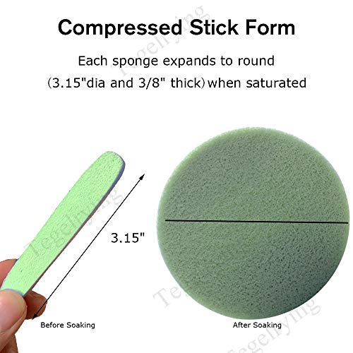Facial Sponge Compressed,60 Pcs PVA Professional Makeup Removal Wash Round Face Sponges Spa Pads Exfoliating Cleansing for Women,Green - color: Green