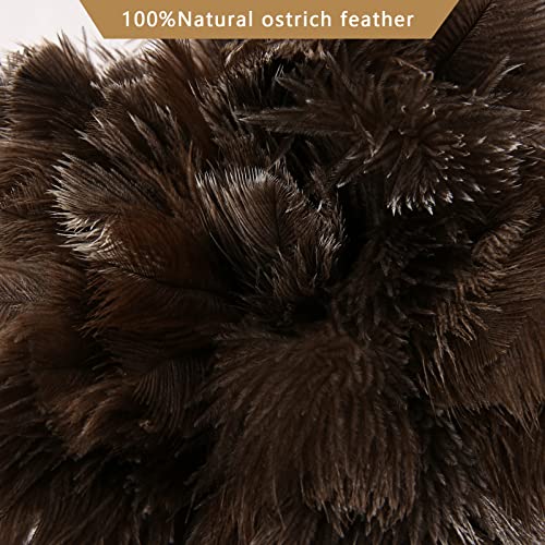 THARAHT 2PCS Ostrich Feather Duster 16 Inch Fluffy Natural with Wood Handle Reusable Washable for Cleaning Keyboard,Home,Car,Office Ostrich Feather Duster - color: Model (A)-2pcs, size: 16inch
