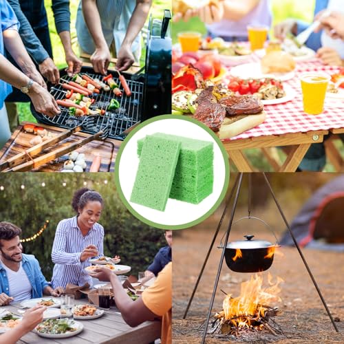 Zhengmy 100 Pieces Sponges Bulk Sponges Kitchen Compressed Sponge Natural Dish Sponge Compressed Wood Pulp Cleaning Without Scratching for Kitchen Bathroom, 3.9 x 2.4 x 0.12 Inch (Green) - color: Green