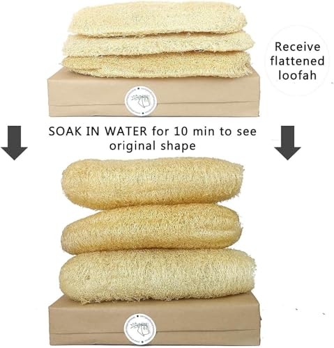 Natural Whole Loofah Sponge (Pack 3) - Exfoliating Body for Bath or Dish Scrubber for Kitchen - 100% Biodegradable Compostable, Dishwashing Scouring Pad, Zero Waste - size: Whole Loofah Pack 3