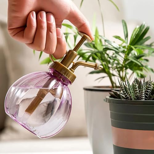 Plant Mister, Pumpkin Shaped Lightweight Spray Bottle 240ml Antique for Indoor Outdoor (Purple)